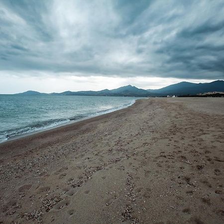 Appartement T2 Les Pieds Dans L'Eau A Argeles-Sur-Mer Ngoại thất bức ảnh