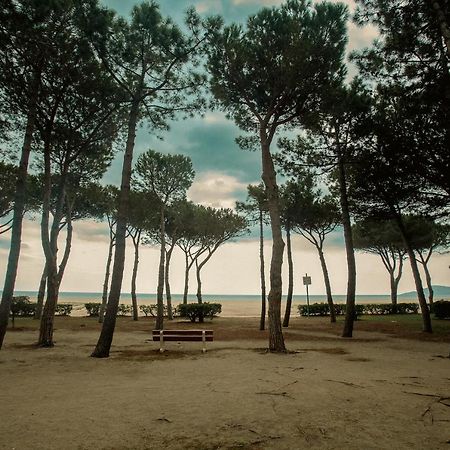 Appartement T2 Les Pieds Dans L'Eau A Argeles-Sur-Mer Ngoại thất bức ảnh