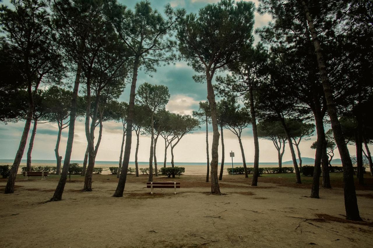 Appartement T2 Les Pieds Dans L'Eau A Argeles-Sur-Mer Ngoại thất bức ảnh
